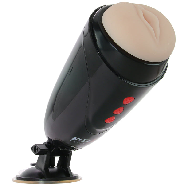 PDX Dirty Talk Interactive Starter Stroker